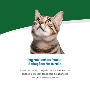 Racao Vet Life Natural Feline Obesity 4